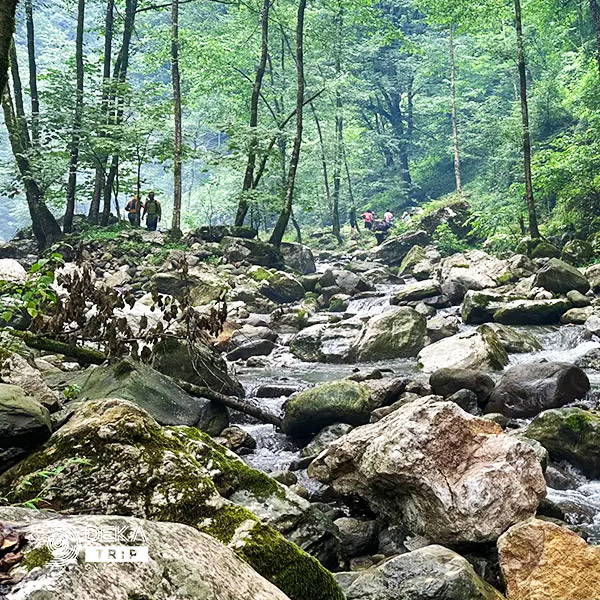 تور تنگه بهشت لرستان