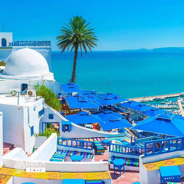 تور مسابقات پرورش اندام در تونس