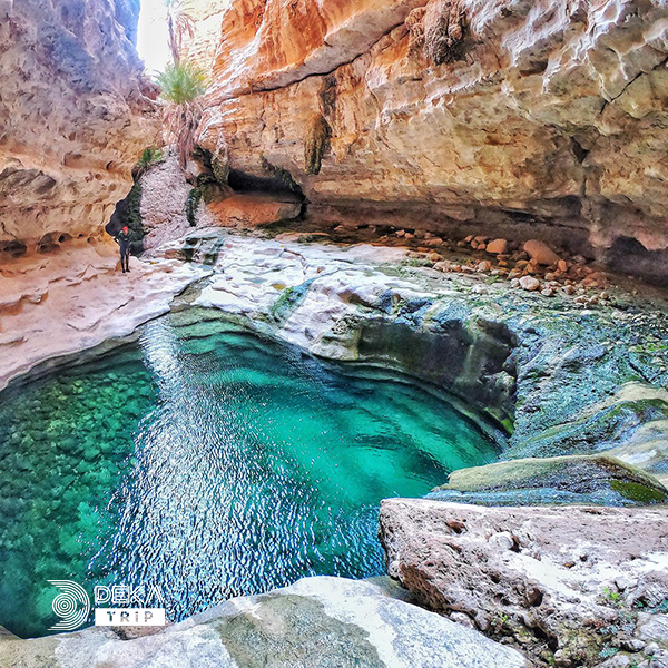 تور هرمزگان